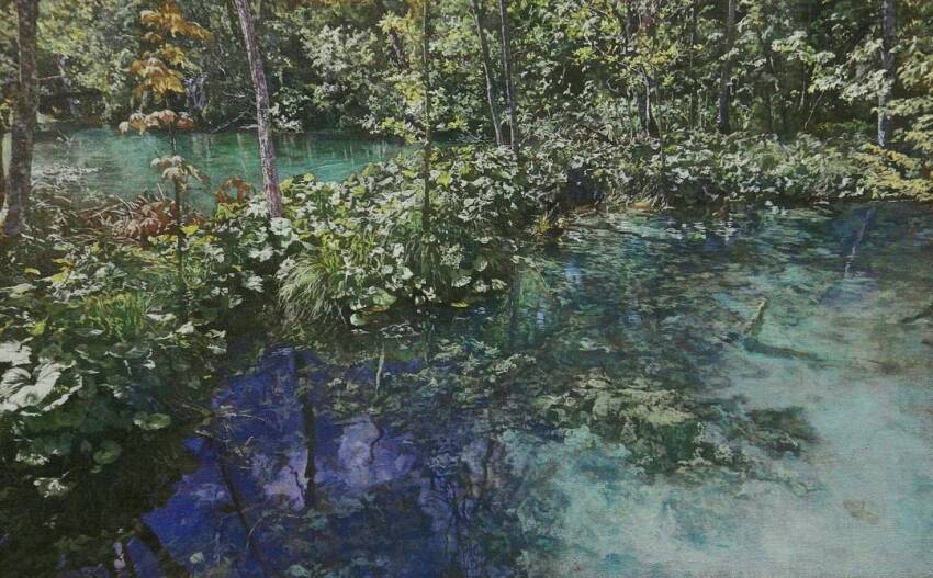 bush day forest naohiro_ito nature no_humans original plant reflection reflective_water sapling scenery shadow sunlight tree water wetland