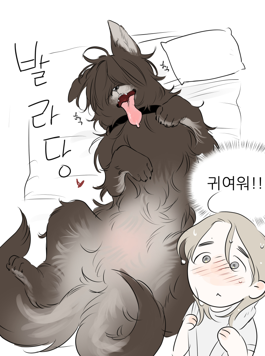 0820_lakia 1girl absurdres animal animal_focus animalization blonde_hair commentary_request dog grey_eyes highres korean_commentary korean_text lying on_back original short_hair solo tongue tongue_out towel towel_around_neck translation_request