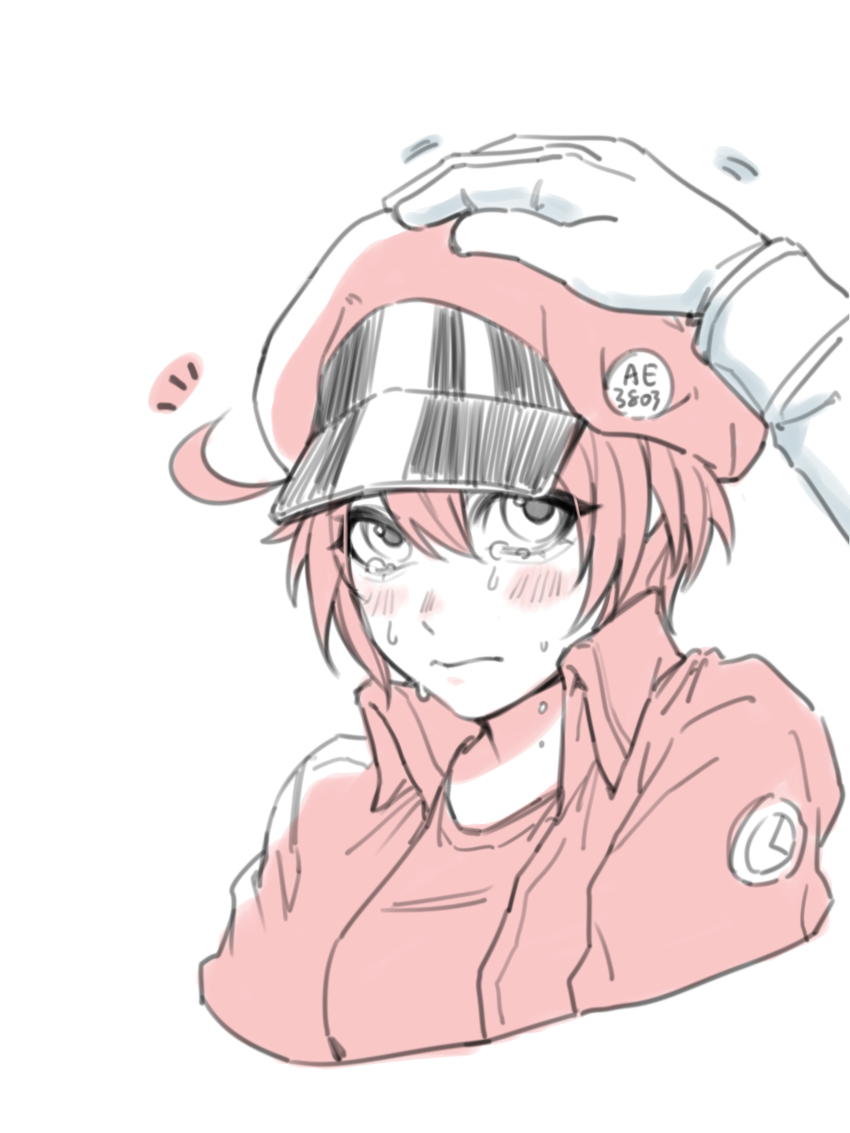 1boy 1girl absurdres ae-3803 ahoge blush breast_pocket closed_mouth collared_jacket collared_shirt crying crying_with_eyes_open frown gloves hair_between_eyes hat hataraku_saibou headpat highres jacket long_sleeves looking_at_viewer medium_hair pocket red_blood_cell_(hataraku_saibou) red_hair red_hat red_jacket red_shirt rougui_(he_fengyu) shirt simple_background solo_focus tears u-1146 white_background white_blood_cell_(hataraku_saibou) white_gloves white_shirt yellow_eyes