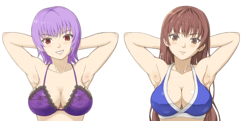 2girls an1k1_(tkks5227) armpits arms_behind_head arms_up ayane_(doa) bikini breasts brown_eyes brown_hair cleavage dead_or_alive female_focus kasumi_(doa) large_breasts long_hair looking_at_viewer matching_hair/eyes medium_hair multiple_girls purple_hair red_eyes short_hair siblings sisters smile swimsuit