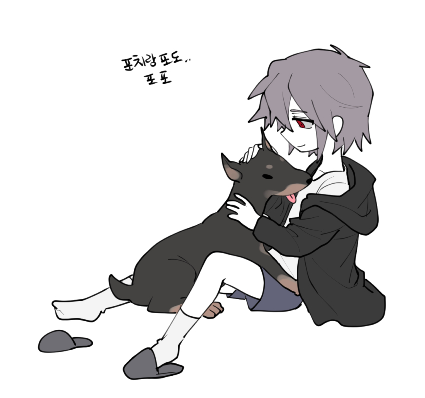 1boy black_jacket black_slippers blue_shorts closed_mouth commentary_request dobermann dog hair_between_eyes hood hood_down hooded_jacket jacket korean_commentary korean_text long_sleeves male_focus nu_(qjqmfqjqmf02) off_shoulder open_clothes open_jacket origin_alpha purple_hair red_eyes saibou_shinkyoku shirt short_hair shorts single_slipper slippers smile socks solo translation_request white_shirt white_socks