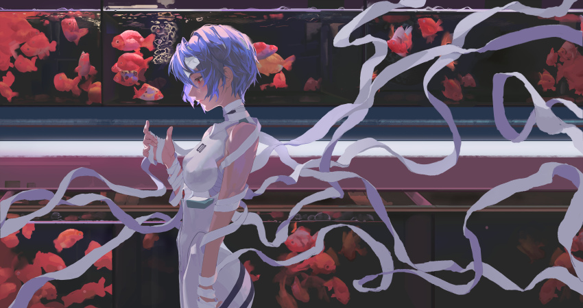 1girl absurdres ayanami_rei bandages blue_hair bodysuit fish fish_tank from_side highres holding_bandages looking_down mecha_pilot_suit plugsuit_(evangelion) red_eyes solo white_bodysuit zigou