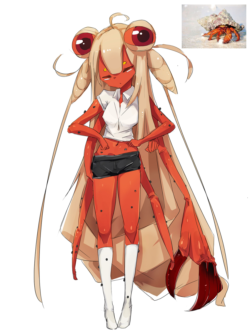 1girl blonde_hair colored_skin crab_girl extra_eyes closed_eyes female_focus highres long_hair midriff monster_girl my700 navel original red_skin reference_photo simple_background skirt socks solo white_background