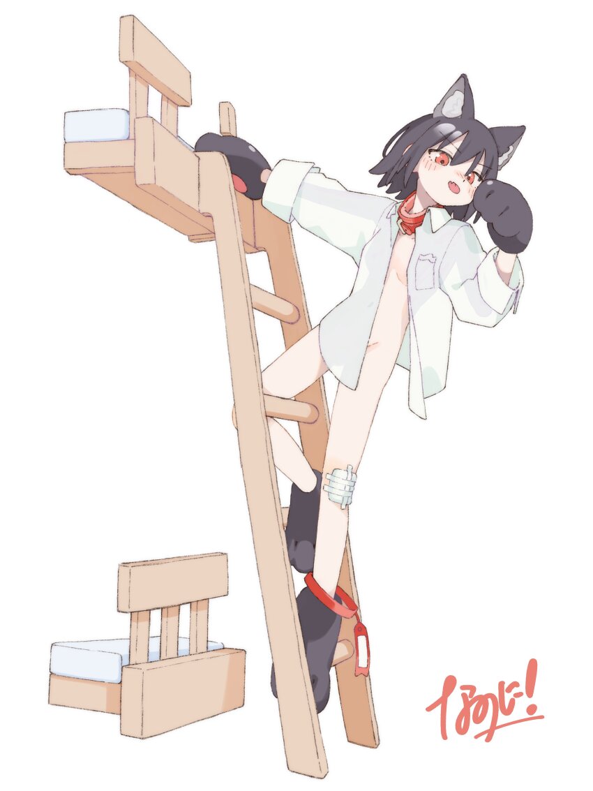 1girl absurdres animal_ear_fluff animal_ears animal_hands bed blush bunk_bed cat_ears cat_girl cat_paws closed_mouth collared_shirt full_body highres ladder long_sleeves looking_at_viewer naked_shirt nanoni! open_clothes open_shirt original paw_shoes red_eyes shirt short_sleeves signature simple_background solo tongue tongue_out white_background white_shirt