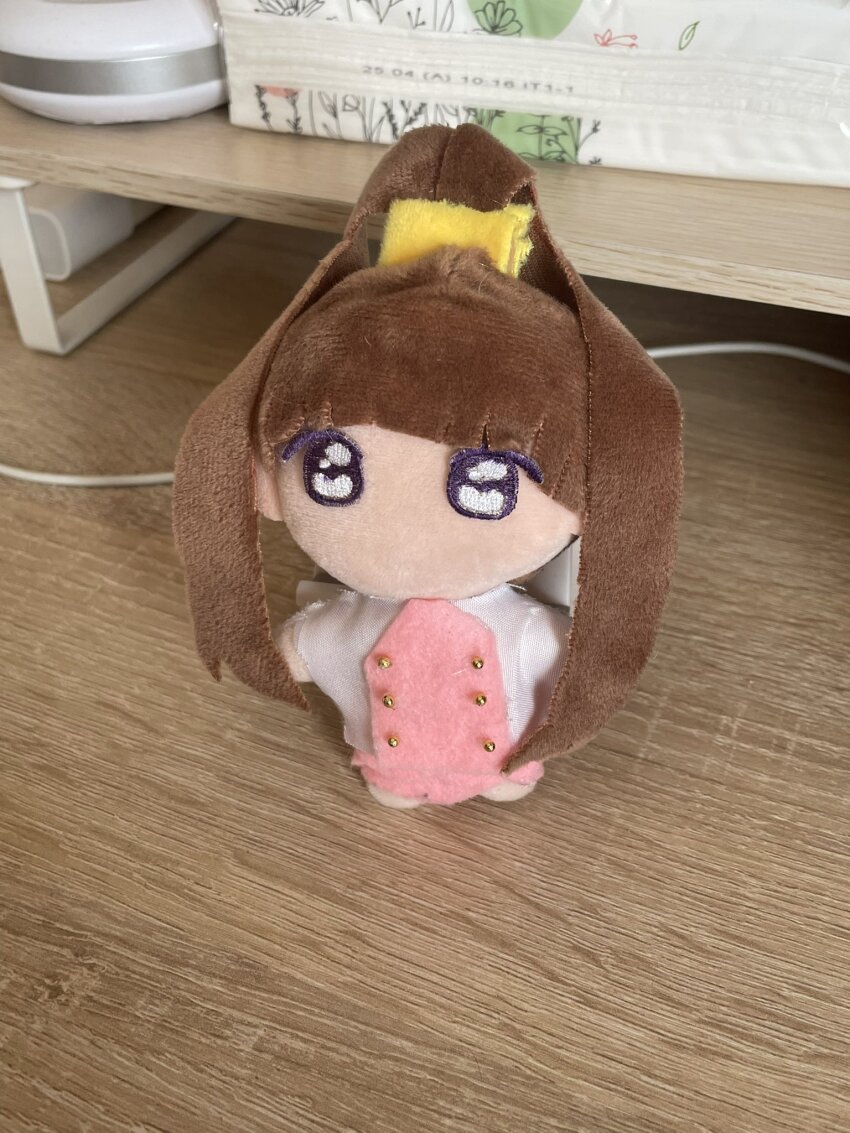 amano_nene_(digimon_xros_wars) black_sclera brown_hair colored_sclera digimon digimon_xros_wars hair_ornament hairpin highres long_hair looking_at_viewer no_pupils photo_(medium) real_life standing stuffed_toy zuhana