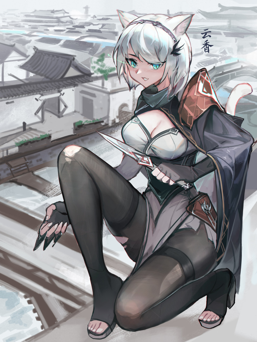 1girl absurdres animal_ear_fluff animal_ears architecture black_cape black_gloves black_pantyhose breasts cape cat_ears cat_girl cat_tail chinese_clothes cleavage commentary_request dagger east_asian_architecture elbow_gloves full_body gloves green_eyes highres holding holding_dagger holding_knife holding_weapon kneeling knife large_breasts on_roof original pantyhose pelvic_curtain slit_pupils tail thighband_pantyhose toeless_legwear torn_clothes torn_pantyhose weapon white_hair youlan