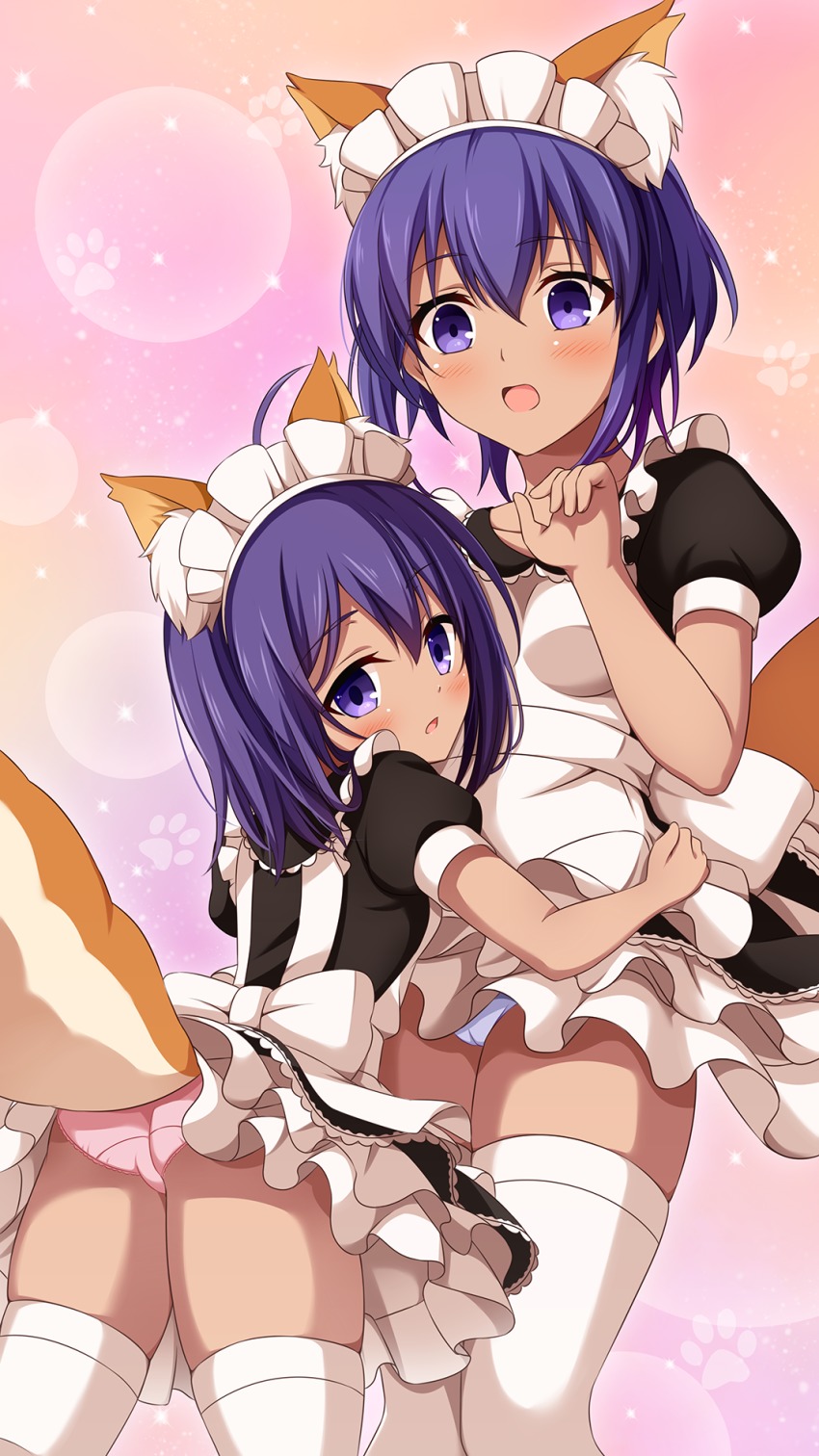 2girls alternate_costume animal_ears assassin_(fate/zero) blush cameltoe child_assassin_(fate/zero) commentary_request dark-skinned_female dark_skin enmaided fate/prototype fate/prototype:_fragments_of_blue_and_silver fate_(series) fox_ears fox_tail hair_between_eyes hassan_of_serenity_(fate) highres looking_at_viewer maid maid_headdress morokoshi_(tekku) multiple_girls open_mouth panties pink_panties puffy_short_sleeves puffy_sleeves purple_eyes purple_hair short_hair short_sleeves tail thighhighs underwear white_legwear white_panties