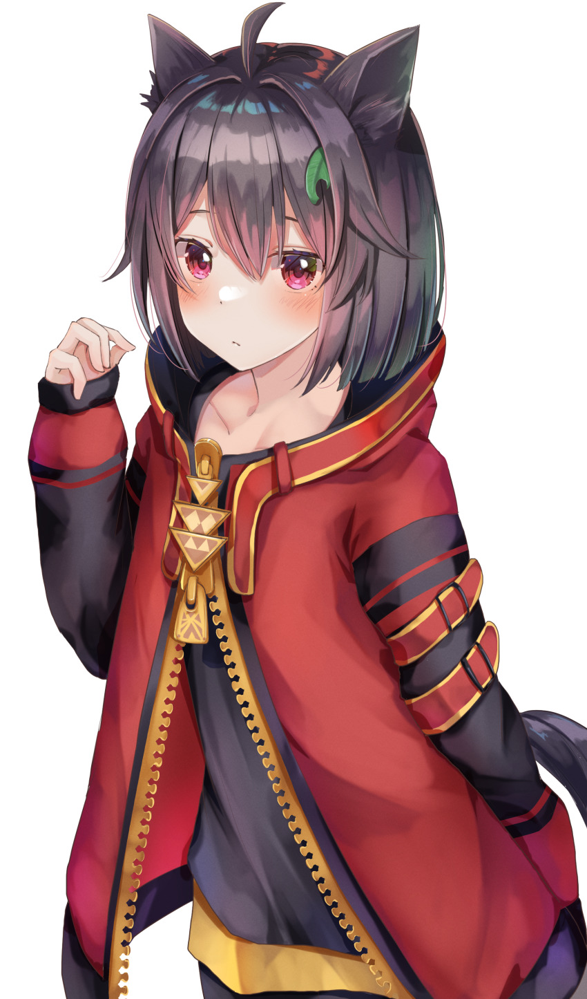 1girl absurdres ahoge animal_ears arm_behind_back black_hair black_shirt blush closed_mouth commentary_request cowboy_shot hair_between_eyes hair_ornament hand_up highres jacket looking_at_viewer medium_hair original oversized_zipper pink_eyes red_jacket shirt simple_background solo tail white_background yuunamida_uyu zipper