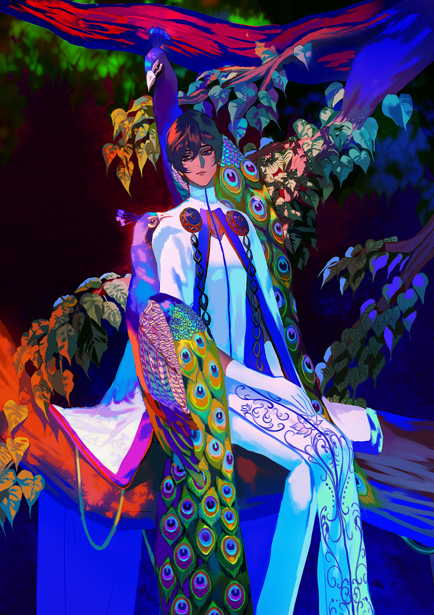 1boy animal arjuna_(fate) bird black_hair closed_mouth daeraeband dark_skin fate/grand_order fate_(series) gloves highres indian_clothes long_sleeves looking_down open_clothes pants peacock solo white_gloves white_pants