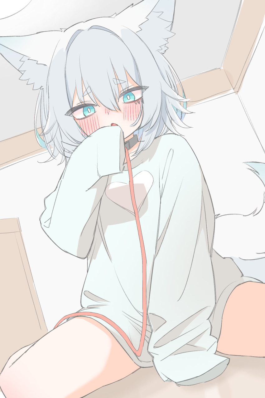 1girl animal_ears between_legs blue_eyes blush collar fox_ears fox_girl fox_tail hand_between_legs hand_to_own_mouth heart heart_print highres leash long_sleeves looking_at_viewer naked_sweater open_mouth original short_hair sitting sketch_background sleeves_past_fingers sleeves_past_wrists spread_legs sweater tail thick_eyebrows tsuno_(tuno_mist) wariza white_hair