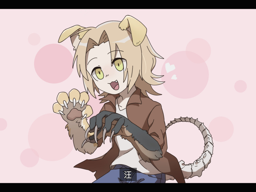 1boy :3 animal_ears animal_hands blue_footwear bone_tail brown_jacket chinese_text commentary_request cowboy_shot dog_ears fake_screenshot fang green_eyes hakka_(ariel0104) heart highres jacket letterboxed light_brown_hair male_focus open_clothes open_jacket open_mouth pink_background saibou_shinkyoku shinano_eiji shirt short_hair smile solo spoilers translation_request white_shirt