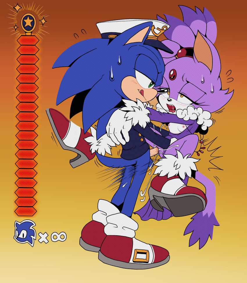 1boy 1girl absurdres blaze_the_cat furry highres nipples pussy sex sonic_(series) sonic_the_hedgehog the_murder_of_sonic_the_hedgehog