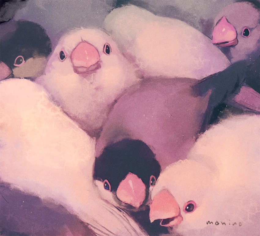 animal_focus artist_name bad_id bad_pixiv_id bird black_eyes commentary_request java_sparrow manino_(mofuritaionaka) no_humans original signature sparrow