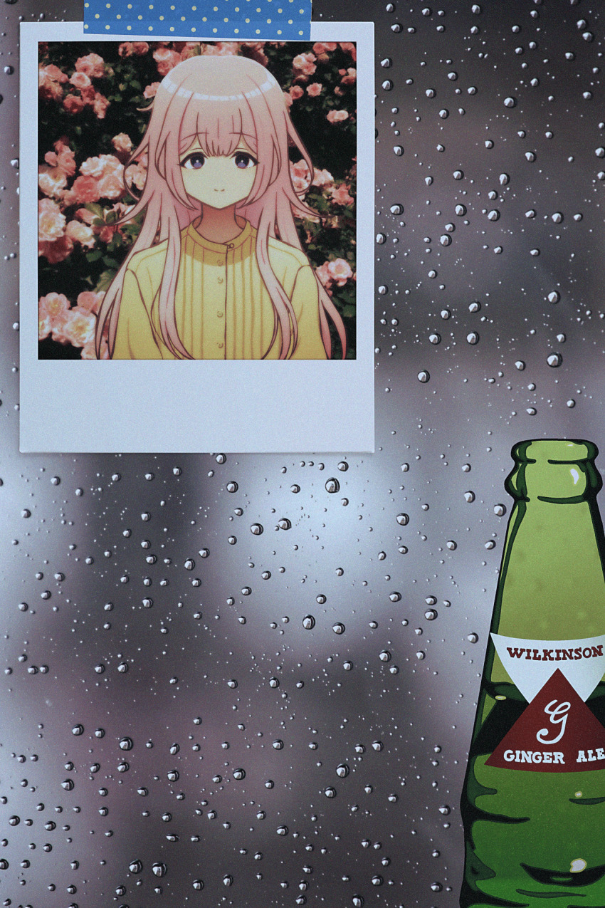 1girl arms_at_sides beer_bottle blue_eyes buttons closed_mouth condensation hair_between_eyes highres long_hair long_sleeves looking_at_viewer masking_tape nijisanji nkymyura pink_hair polaroid_photo shirt sidelocks smile solo straight-on straight_hair suo_sango upper_body virtual_youtuber water_drop yellow_shirt