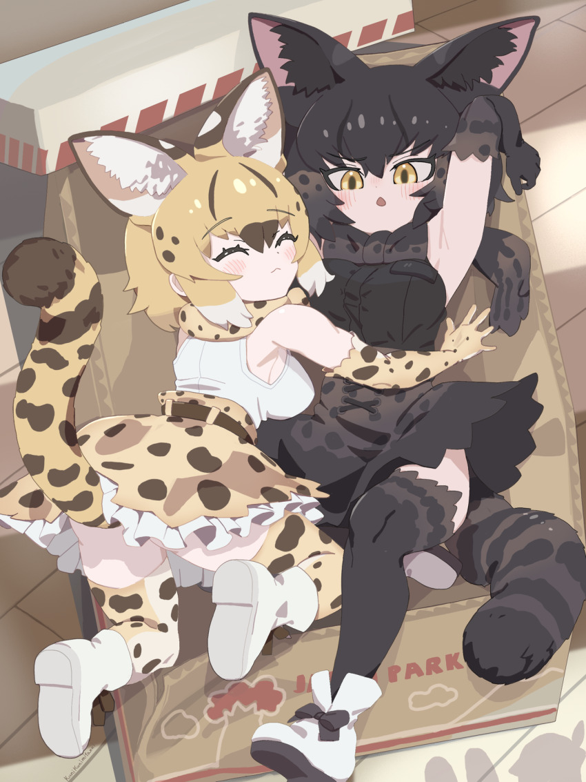 2girls all_fours animal_ear_fluff animal_ears animal_print armpits ass bare_shoulders black_hair black_serval_(kemono_friends) blonde_hair blush bow bowtie box breasts brown_hair cardboard_box closed_eyes closed_mouth extra_ears from_above front-tie_top full_body gloves high-waist_skirt highres indoors kemono_friends kunikuni_(kunihiro2005) looking_at_another lying medium_breasts medium_hair multicolored_hair multiple_girls on_back on_box parted_lips print_bow print_bowtie print_gloves print_scarf print_skirt print_thighhighs scarf serval_(ex4)_(kemono_friends) shadow shirt shoes skirt sleeveless sleeveless_shirt tail thighhighs underbutt v-shaped_eyebrows wooden_floor yellow_eyes zettai_ryouiki