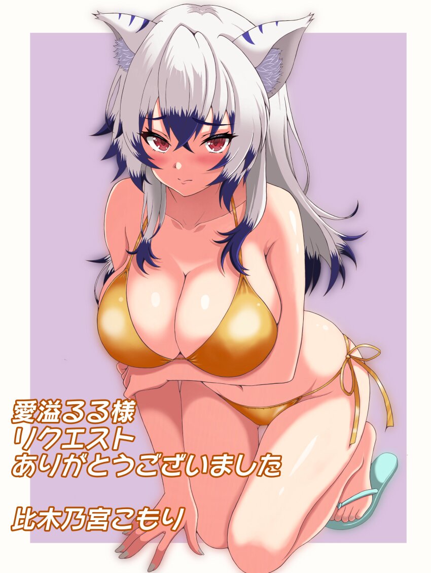 1girl absurdres animal_ears arm_under_breasts bare_shoulders bikini breasts character_request cleavage closed_mouth collarbone commentary_request embarrassed gold_bikini halterneck highres hikinomiya_komori_(artist) indie_virtual_youtuber large_breasts leaning_forward long_hair looking_at_viewer multicolored_hair navel red_eyes sandals side-tie_bikini_bottom solo string_bikini swimsuit translation_request two-tone_hair virtual_youtuber white_hair