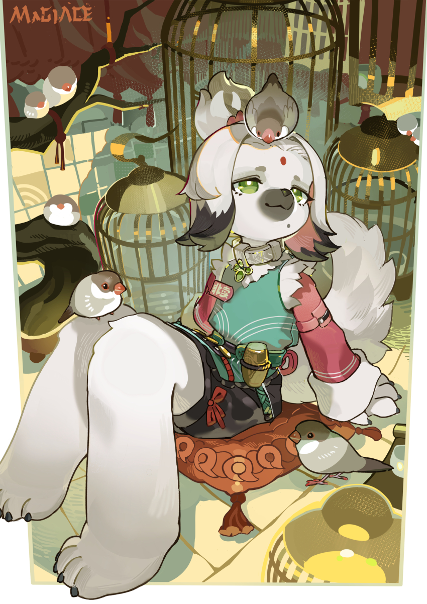 1girl absurdres animal animal_on_head bird bird_on_head birdcage black_hair branch cage cairn_(zenless_zone_zero) chinese_clothes closed_mouth collar cushion dog_girl facial_mark forehead_mark furry furry_female green_eyes highres long_sleeves magiace mole mole_under_mouth multicolored_hair on_head signature sitting solo tassel topknot zenless_zone_zero