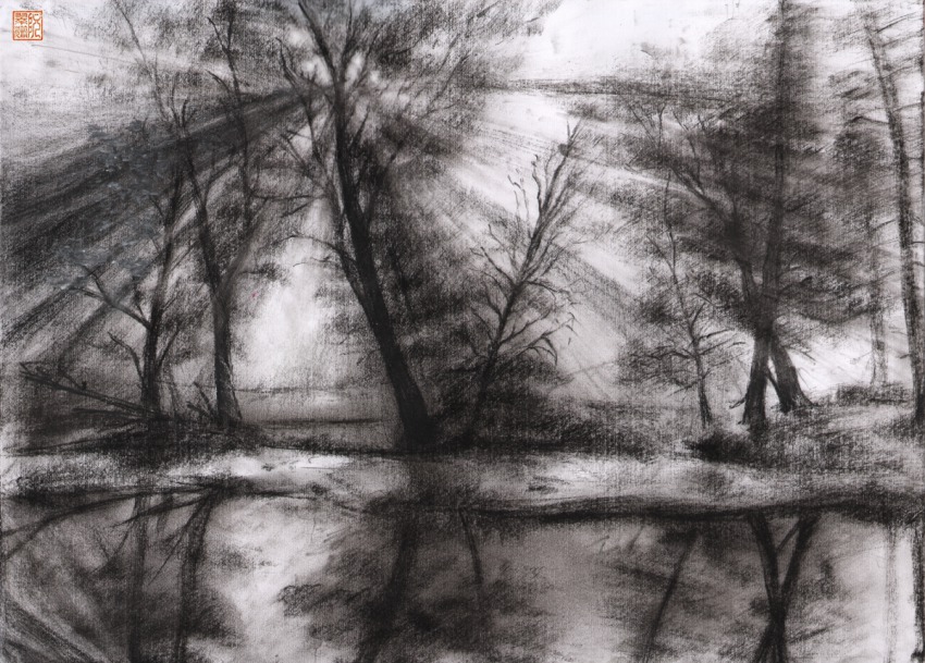 charcoal_(medium) lake monochrome no_humans photo-referenced scenery traditional_media tree water yuanchosaan
