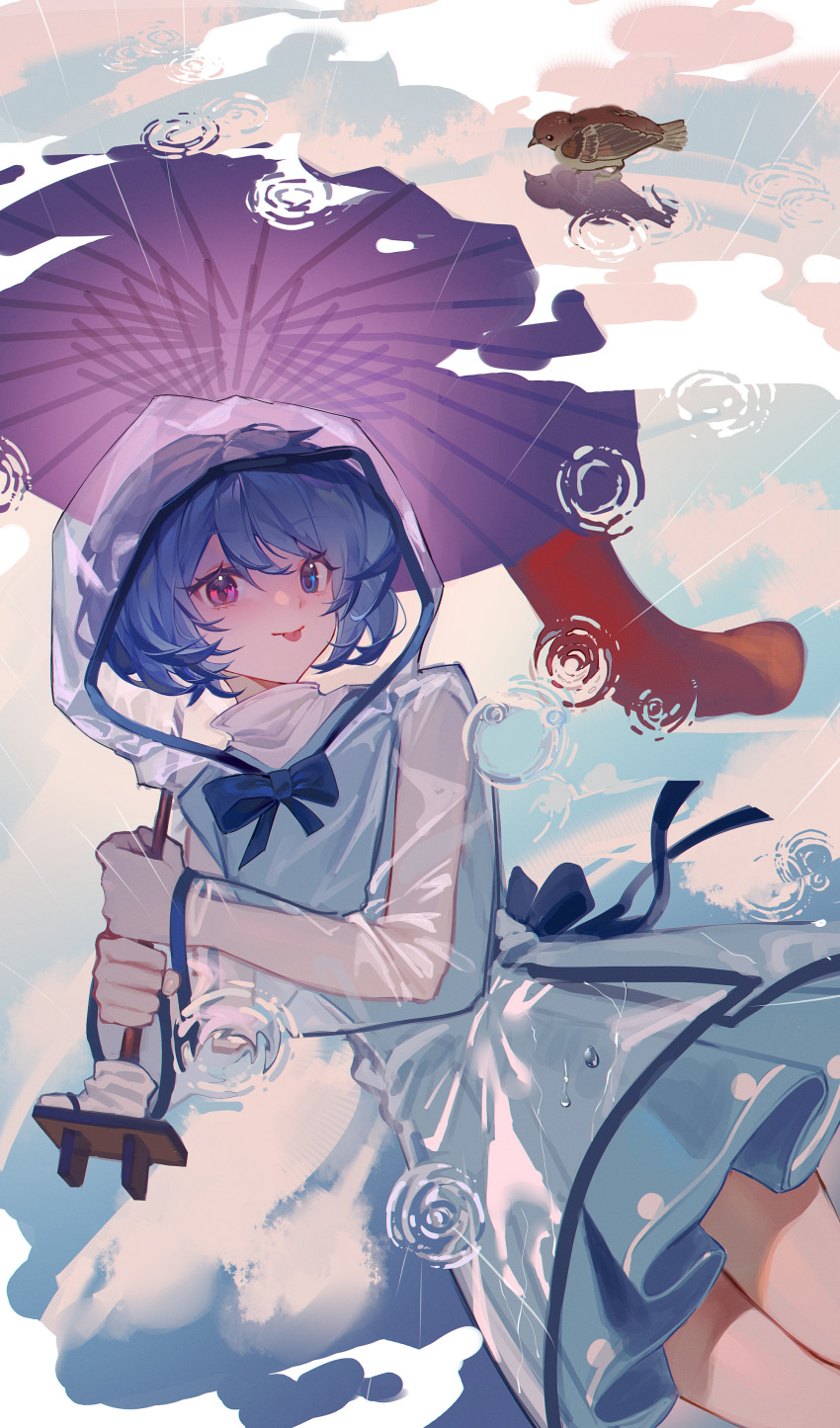 1girl :p absurdres bird blue_eyes blue_hair blue_skirt blue_vest chinese_commentary commentary cowboy_shot dutch_angle ender_xiaohai geta heterochromia highres holding holding_umbrella long_sleeves looking_at_viewer pleated_skirt purple_umbrella raincoat red_eyes ripples see-through_clothes see-through_raincoat short_hair skirt solo tatara_kogasa tongue tongue_out touhou umbrella vest water