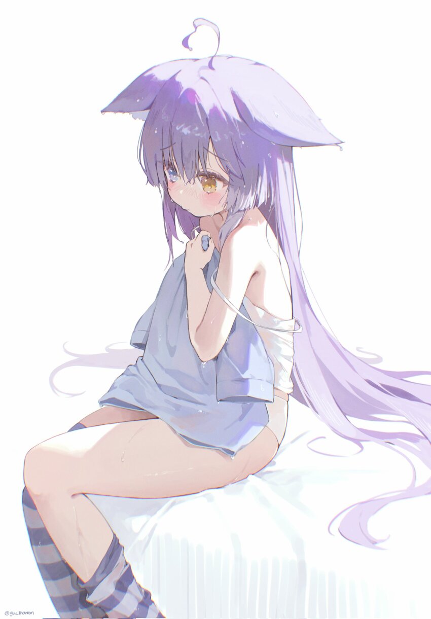 1girl ahoge animal_ears artist_name asymmetrical_legwear blue_eyes blue_shirt blush camisole chromatic_aberration closed_mouth corrupted_twitter_file double_strap_slip feet_out_of_frame hair_between_eyes hashtag-only_commentary heterochromia highres holding holding_shirt holding_unworn_clothes kneehighs long_bangs long_hair no_pants on_bed orange_eyes panties purple_hair raised_inner_eyebrows shirt simple_background sitting socks solo stellive striped_clothes striped_socks striped_thighhighs sweat tenko_shibuki thighhighs underwear unworn_shirt very_long_hair virtual_youtuber white_background white_camisole white_panties yw_marron