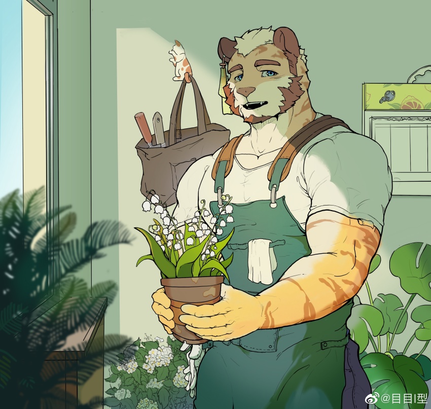 1boy absurdres animal_ears apron bag bara beard blue_eyes facial_hair flower garden green_apron highres holding_vase indoors large_pectorals looking_at_viewer male_focus mature_male me-me_(mouact2) muscular muscular_male orange_fur original pectorals plant solo sunlight thick_eyebrows tiger_boy tiger_ears white_flower