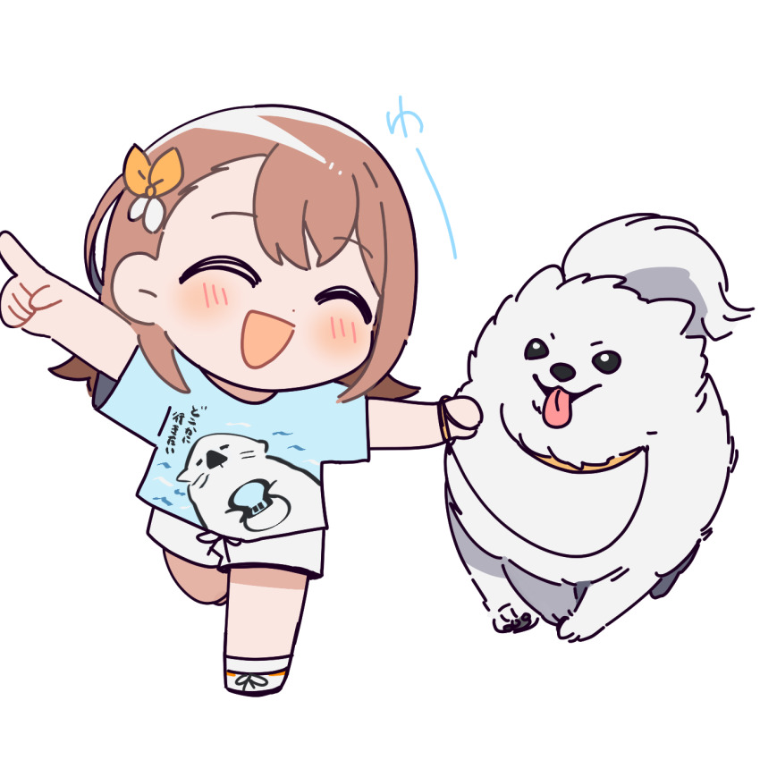 1girl animal_collar animal_print bare_arms bare_legs blue_shirt bow brown_hair closed_eyes collar commentary_request dog dot_nose facing_viewer full_body hair_bow hanasato_minori happy highres holding holding_leash index_finger_raised leash light_blush open_mouth orange_bow outstretched_arm pet_walking pointing project_sekai samoyed_(dog) sarariman114 shirt short_sleeves shorts simple_background solo standing standing_on_one_leg swept_bangs tongue tongue_out two-tone_bow walking white_background white_dog white_shorts