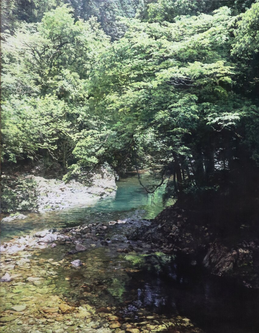 absurdres bush day forest grass highres hill morning naohiro_ito nature no_humans original painting_(medium) riverbank scenery shadow stream sunlight traditional_media tree_shade water