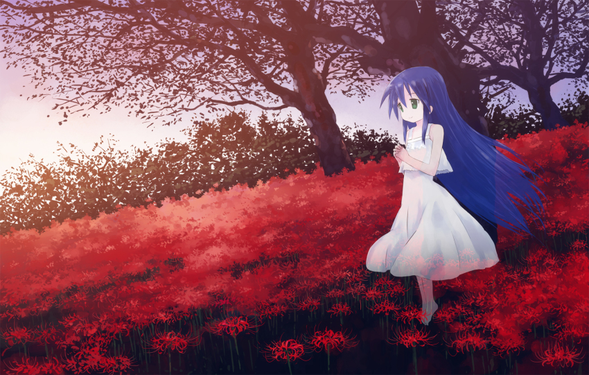 00s bad_id bad_pixiv_id barefoot blue_hair dress flower ghost isou_nagi izumi_kanata landscape long_hair lucky_star scenery solo spider_lily