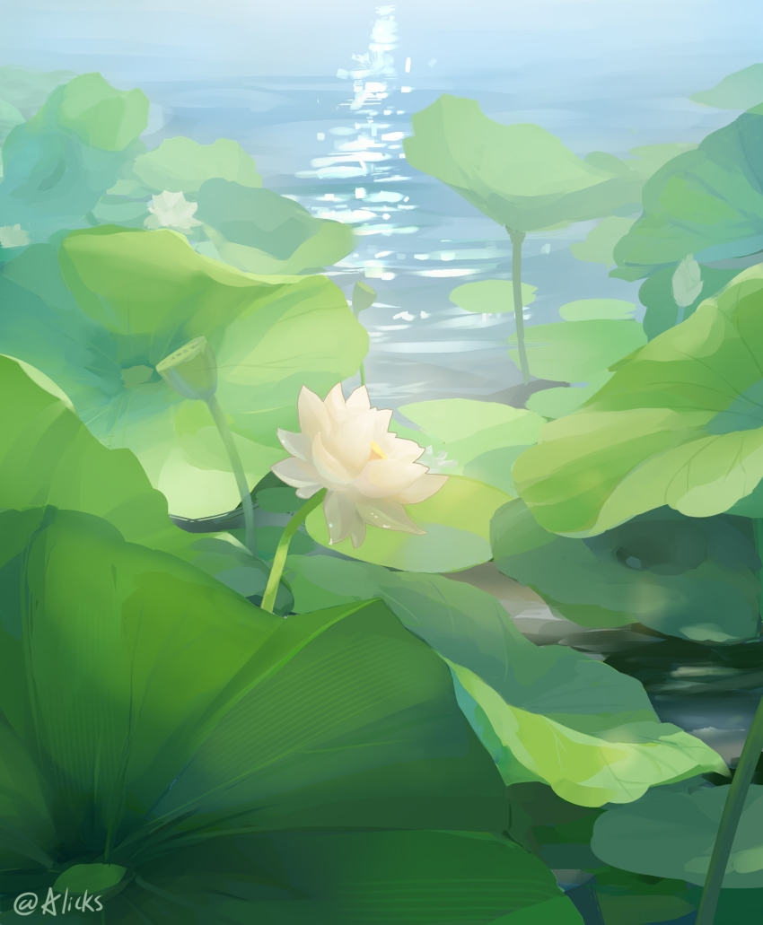 alicks_(pixiv_19241330) artist_name flower flower_focus highres lotus lotus_leaf nature no_humans outdoors plant plant_focus reverse:1999 sunlight water white_flower