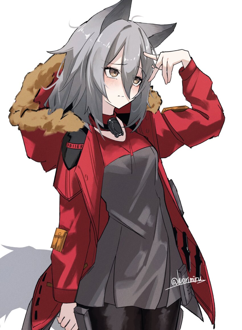 1girl absurdres animal_ears arknights arm_up black_pantyhose blush closed_mouth commentary commission cowboy_shot fur-trimmed_hood fur_trim grey_hair grey_shirt hair_between_eyes hand_hair highres hood hood_down hooded_jacket jacket long_bangs long_sleeves looking_up medium_hair open_clothes open_jacket pantyhose projekt_red_(arknights) red_jacket shirt simple_background solo standing twitter_username white_background worimehl yellow_eyes