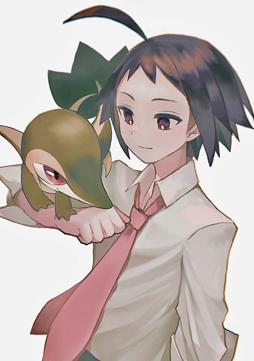 1boy ahoge black_hair cheren_(pokemon) closed_mouth collared_shirt commentary gen_5_pokemon highres male_focus multiple_neckties necktie nintendo pokemon pokemon_bw2 pokemon_on_arm red_eyes red_necktie shirt short_hair simple_background smile snivy standing symbol-only_commentary valen1637 white_background white_shirt