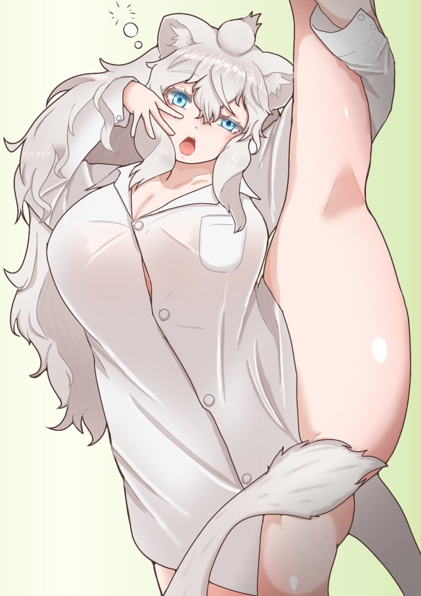 1girl alternate_breast_size animal_ears arms_up asatoyuyunopapa blue_eyes bottomless breast_pocket breasts buttons covering_crotch covering_privates dress_shirt flexible gluteal_fold grey_hair hair_between_eyes half-closed_eye head_tilt highres holding_own_leg huge_breasts kemono_friends kemono_friends_3 kneepits leg_hold leg_lift leg_up lion_ears lion_girl lion_tail long_hair long_sleeves looking_at_viewer making-of_available naked_shirt pocket shiny_skin shirt sleepy solo split standing standing_on_one_leg standing_split tail tail_censor very_long_hair white_lion_(kemono_friends) white_shirt