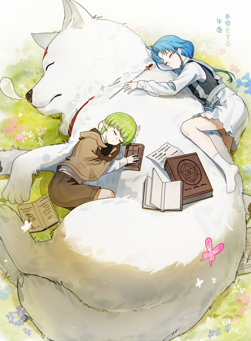 2girls absurdres ahoge animal blue_hair book brown_shorts bug butterfly chinese_commentary closed_eyes closed_mouth commentary_request curtained_hair day dog elf green_hair highres holding insect lara_greyrat leo_(mushoku_tensei) long_hair long_sleeves lying multiple_girls mushoku_tensei nose_bubble on_grass on_side open_book outdoors oversized_animal paper pink_butterfly pointy_ears shirt short_hair shorts sieghart_saladin_greyrat skirt sleeping sleeping_on_animal socks suspender_skirt suspenders translation_request white_skirt white_socks yisjhui