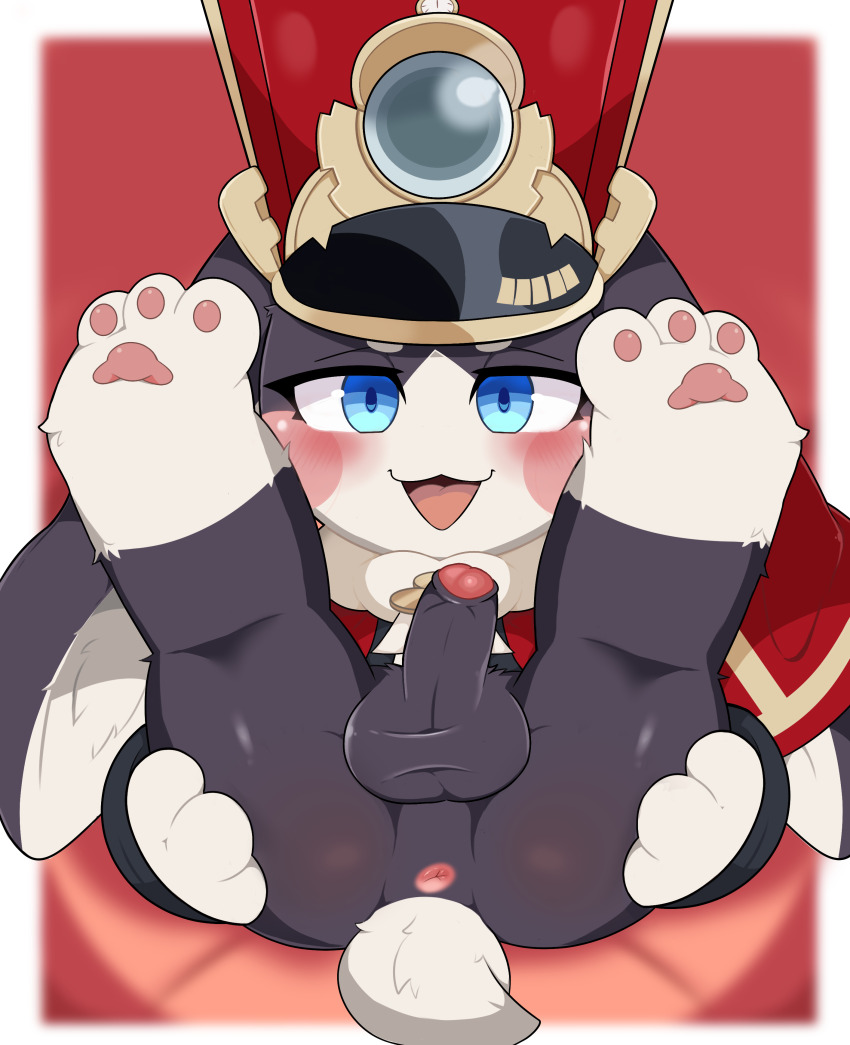 1boy :3 :d absurdres animal_ear_fluff animal_ears anus ass black_fur blue_eyes blurry blurry_background blurry_border blush_stickers border chibikemo colored_extremities erection fieryfur floppy_ears folded foreskin fur_trim furry furry_male genderswap genderswap_(otm) hands_on_own_ass hat highres honkai:_star_rail honkai_(series) looking_at_viewer male_focus open_mouth pawpads penis perineum pom-pom_(honkai:_star_rail) presenting presenting_ass rabbit_boy rabbit_ears rabbit_tail red_background red_hat shako_cap short_tail smile solo spread_legs straight-on tail testicles two-tone_fur uncensored wall-eyed white_border white_fur white_tail