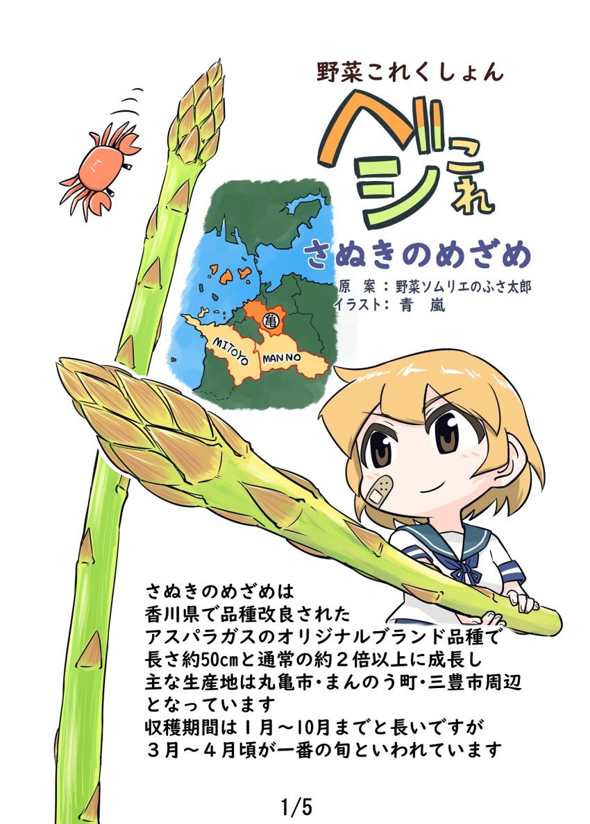 1girl asparagus bandaid bandaid_on_cheek bandaid_on_face blue_neckerchief blue_sailor_collar brown_eyes chibi commentary_request crab food hair_between_eyes highres holding holding_food kantai_collection map neckerchief oboro_(kancolle) orange_hair sailor_collar school_uniform seiran_(mousouchiku) serafuku short_hair short_sleeves simple_background solo translation_request vegetable white_background