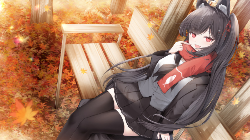 1girl :d ahoge animal_ear_fluff animal_print autumn_leaves bench black_hair black_jacket black_neckerchief black_sailor_collar black_skirt black_thighhighs breasts cat commission falling_leaves fang feet_out_of_frame fish_hair_ornament fish_print grey_shirt hair_ornament hair_ribbon highres jacket kurage_cc leaf long_hair long_sleeves looking_at_viewer maple_leaf neckerchief on_bench open_clothes open_jacket open_mouth original outdoors park_bench red_eyes red_ribbon red_scarf ribbon sailor_collar scarf scarf_pull school_uniform serafuku shirt skeb_commission skin_fang skirt smile solo thighhighs two_side_up very_long_hair wooden_bench