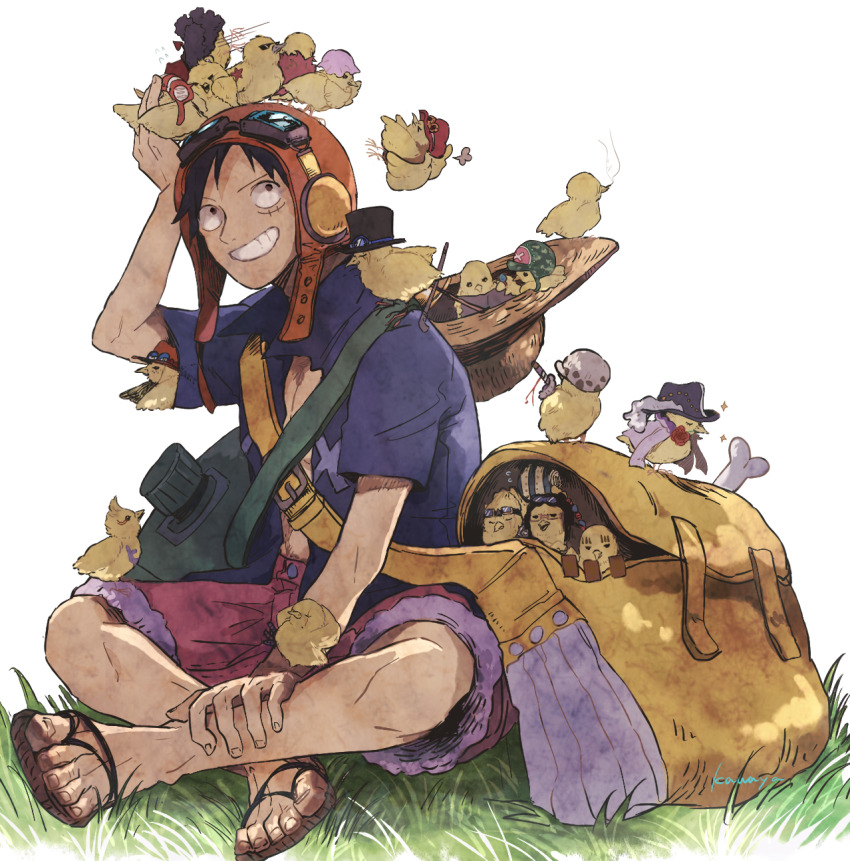 1boy asapbn backpack bag basil_hawkins bird cavendish_(one_piece) chick donquixote_doflamingo donquixote_rocinante eustass_kid franky_(one_piece) goggles goggles_on_headwear grass grin hat highres killer_(one_piece) marco_(one_piece) monkey_d._luffy nami_(one_piece) nico_robin on_ground one_piece one_piece:_strong_world portgas_d._ace roronoa_zoro sabo_(one_piece) sandals sanji_(one_piece) scar scar_on_face scratchmen_apoo shorts sitting smile tony_tony_chopper too_many too_many_chicks trafalgar_law usopp