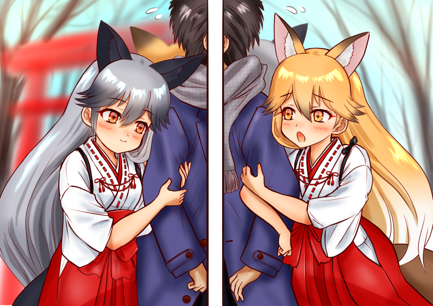 1boy 2girls animal_ears blush clinging extra_ears ezo_red_fox_(kemono_friends) fox_ears fox_girl fox_tail grey_hair hair_between_eyes hakama hakama_skirt hakumaiya highres japanese_clothes kemono_friends kimono long_hair miko multicolored_hair multiple_girls open_mouth red_hakama scarf shrine silver_fox_(kemono_friends) skirt smile tail torii white_kimono