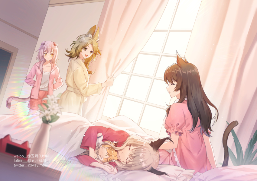 4girls :d animal_ear_fluff animal_ears arknights arms_behind_back bed black_hair blanket blonde_hair brown_hair cat_ears cat_tail character_doll chinese_commentary closed_eyes collarbone commentary curtains cushion doll gogatsu_fukuin goldenglow_(arknights) grey_hair haze_(arknights) indoors jacket lofter_username long_hair long_sleeves medium_hair mousse_(arknights) multiple_girls nightgown open_clothes open_jacket open_mouth parted_lips pink_hair pink_jacket pink_nightgown profile puffy_short_sleeves puffy_sleeves quercus_(arknights) red_nightgown red_shorts robe shirt short_sleeves shorts skyfire_(arknights) sleeping smile tail twitter_username watermark weibo_watermark white_shirt window yellow_eyes yellow_robe
