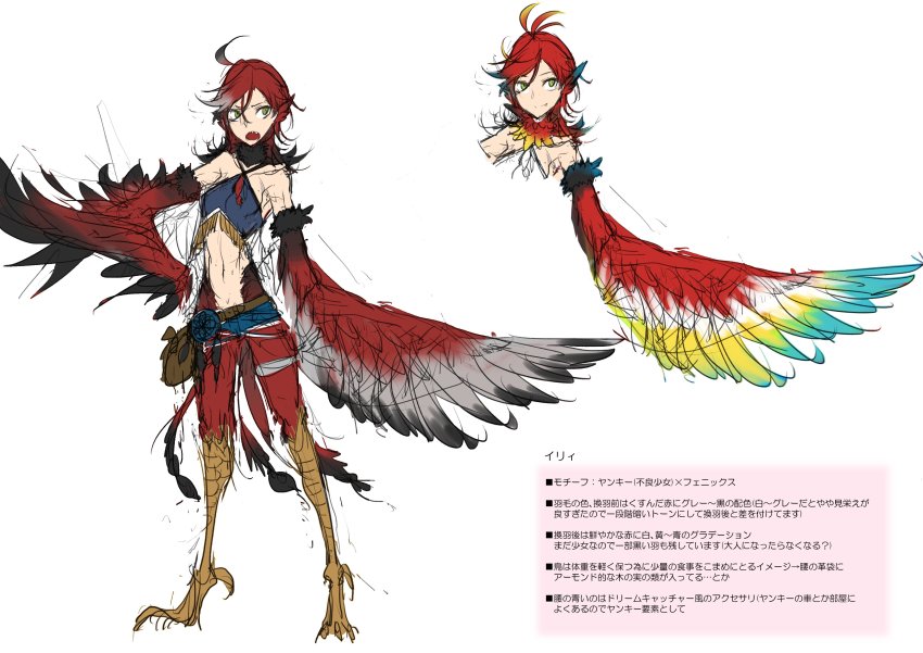 absurdres ahoge belt breasts concept_art digitigrade fang fang_out green_eyes hand_on_own_hip harpy highres illy_(monster_musume_no_oisha-san) looking_at_viewer monster_girl monster_musume_no_oisha-san multicolored_hair multicolored_wings multiple_views official_art open_mouth red_hair sharp_teeth simple_background sketch small_breasts smile talons teeth translation_request white_background winged_arms wings z-ton