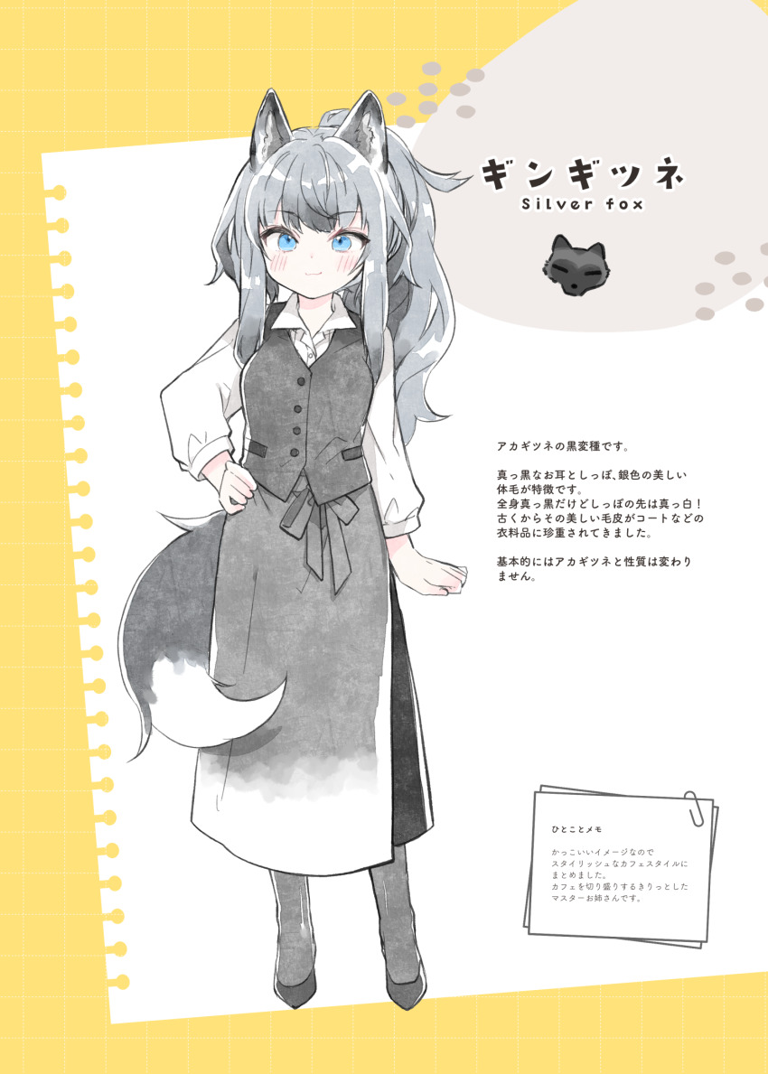 1girl animal_ears black_shoes blue_eyes blush closed_mouth collared_shirt dress_shirt fox_ears fox_girl fox_tail grey_hair grey_pantyhose grey_skirt grey_vest hand_on_own_hip highres kamiyoshi_rika long_hair looking_at_viewer original pantyhose ponytail shirt shoes skirt smile solo standing tail translation_request two-tone_background very_long_hair vest white_background white_shirt yellow_background