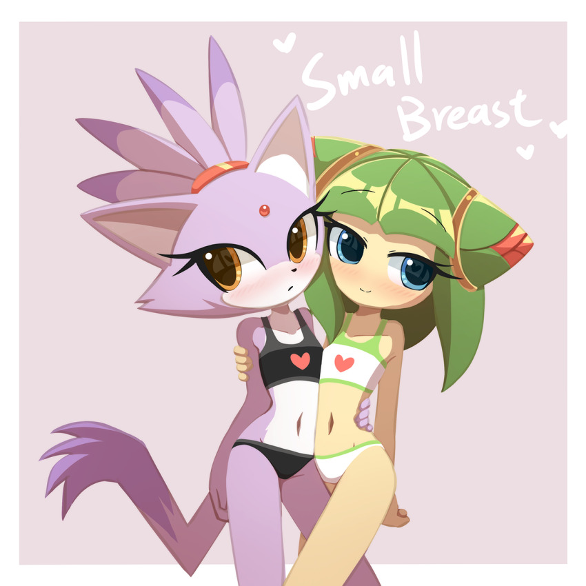 2girls animal_ears blaze_the_cat blue_eyes blush bra cat_ears cat_girl cat_tail cosmo_(sonic) forehead_jewel furry furry_female green_hair heart highres howxu multiple_girls panties ponytail purple_fur sega sonic_(series) sonic_x tail tms_entertainment underwear underwear_only yellow_eyes