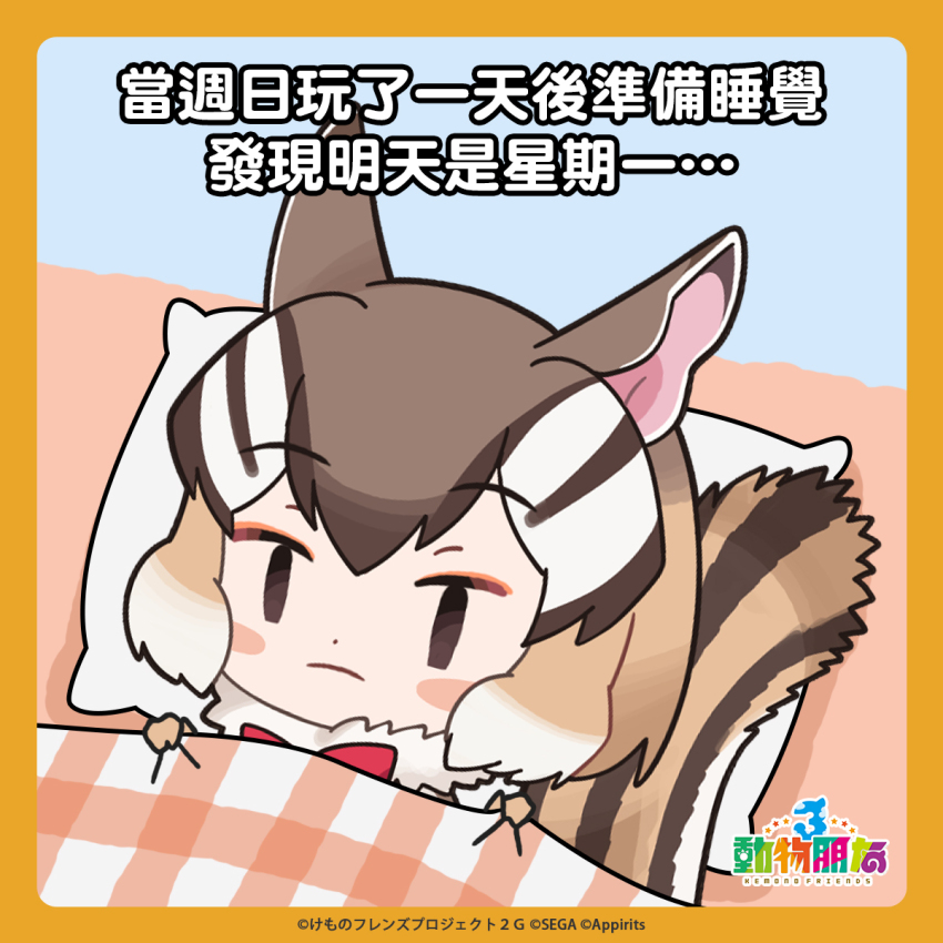 1girl animal_ears blanket bow bowtie brown_hair chinese_text chipmunk_ears chipmunk_girl chipmunk_tail copyright_name extra_ears gloves highres kemono_friends kemono_friends_3 kurokw_(style) looking_at_viewer official_art on_bed pillow short_hair siberian_chipmunk_(kemono_friends) simple_background solo tail translation_request