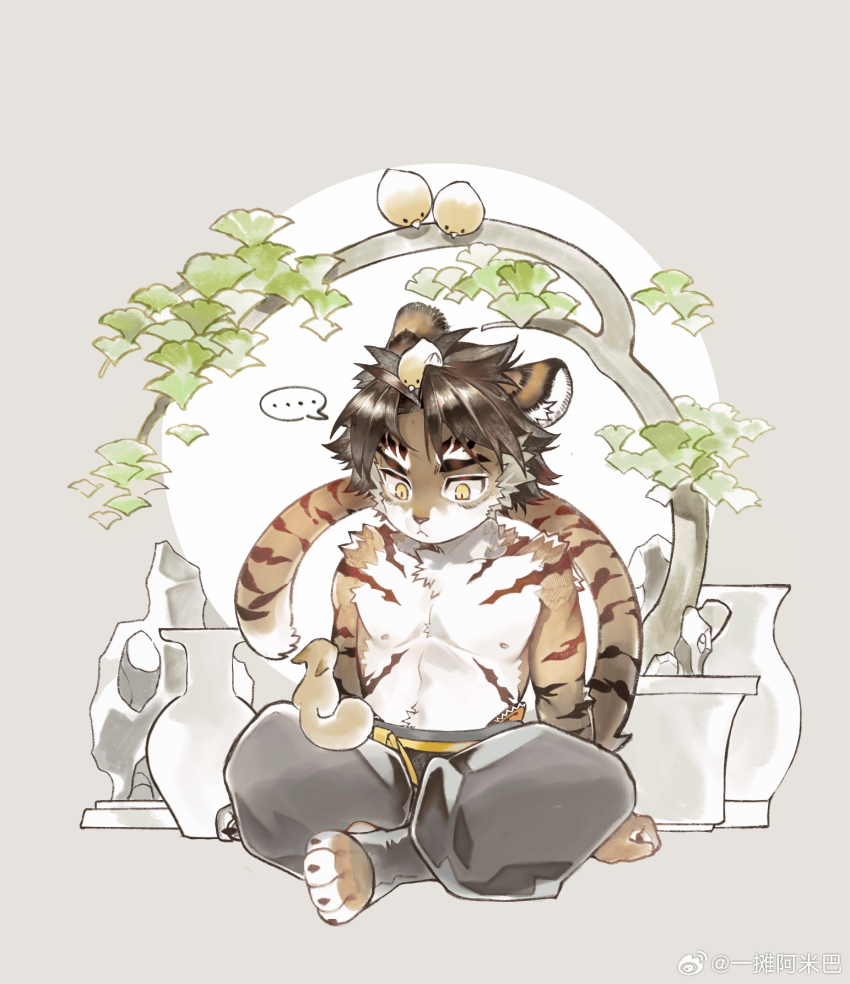 ... 1boy abs aged_down animal animal_ears animal_on_head animal_on_lap arknights bird chinese_commentary claws closed_eyes commentary_request furry furry_male highres huai_tianpei_(arknights) indian_style looking_at_animal male_focus nipples on_floor on_head on_lap pectorals sitting speech_bubble spoken_ellipsis squirrel tail tiger_boy tiger_ears tiger_stripes tiger_tail toned toned_male vase watermark weibo_watermark yi_tan_a_mi_ba