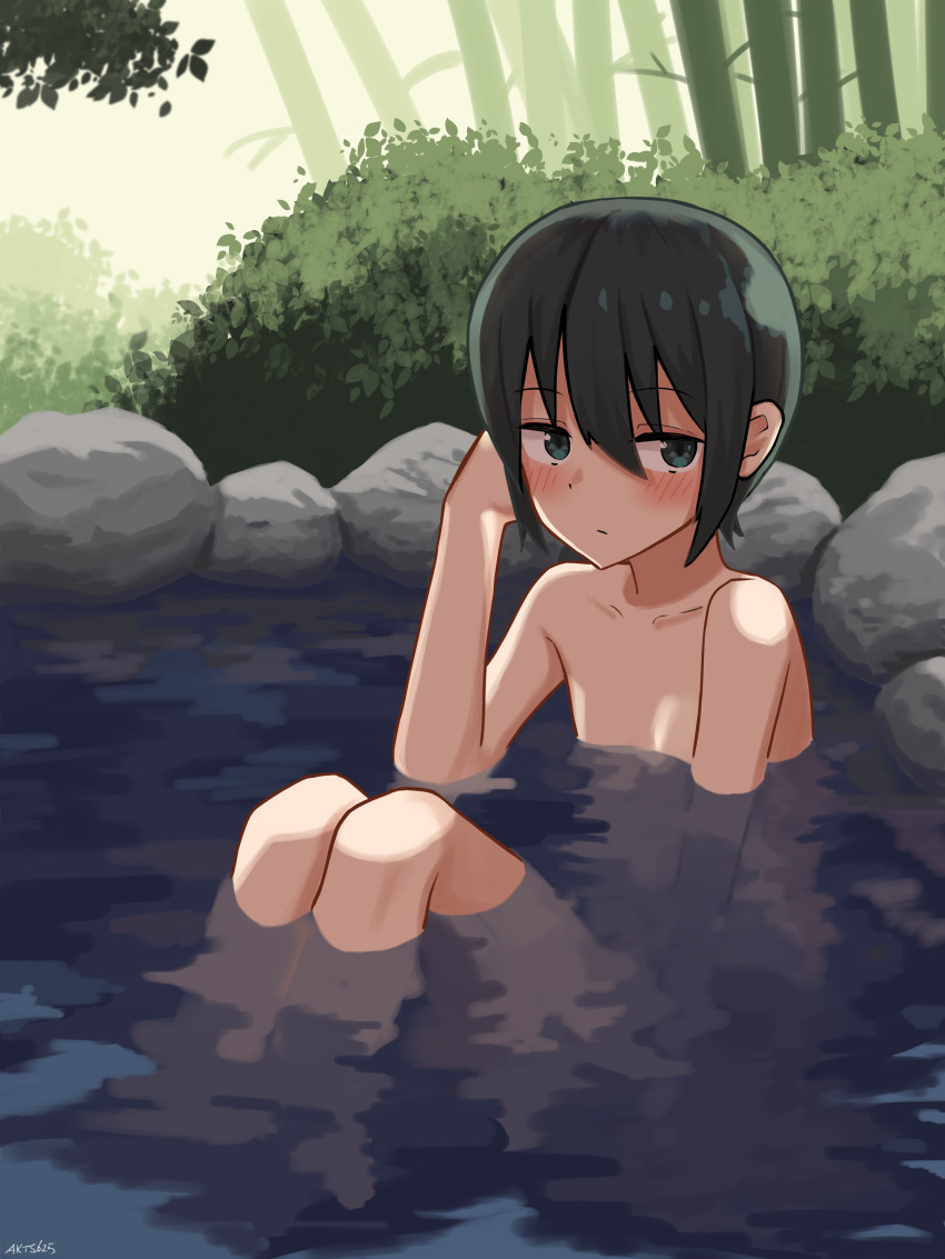 1girl absurdres adjusting_hair akts625 androgynous artist_name bamboo bamboo_forest blush boulder breasts bush collarbone commentary completely_nude english_commentary foliage forest green_eyes green_hair hair_between_eyes highres kino_(kino_no_tabi) kino_no_tabi knees_up looking_at_viewer nature nude onsen partially_submerged short_hair signature sitting small_breasts solo stone tomboy tree water