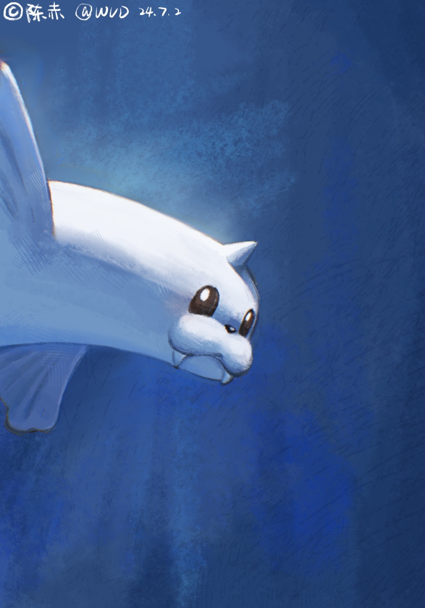 animal_focus black_eyes bright_pupils commentary_request dated dewgong fangs fangs_out from_side gen_1_pokemon highres looking_to_the_side nintendo no_humans pokemon pokemon_(creature) solo underwater white_pupils wud