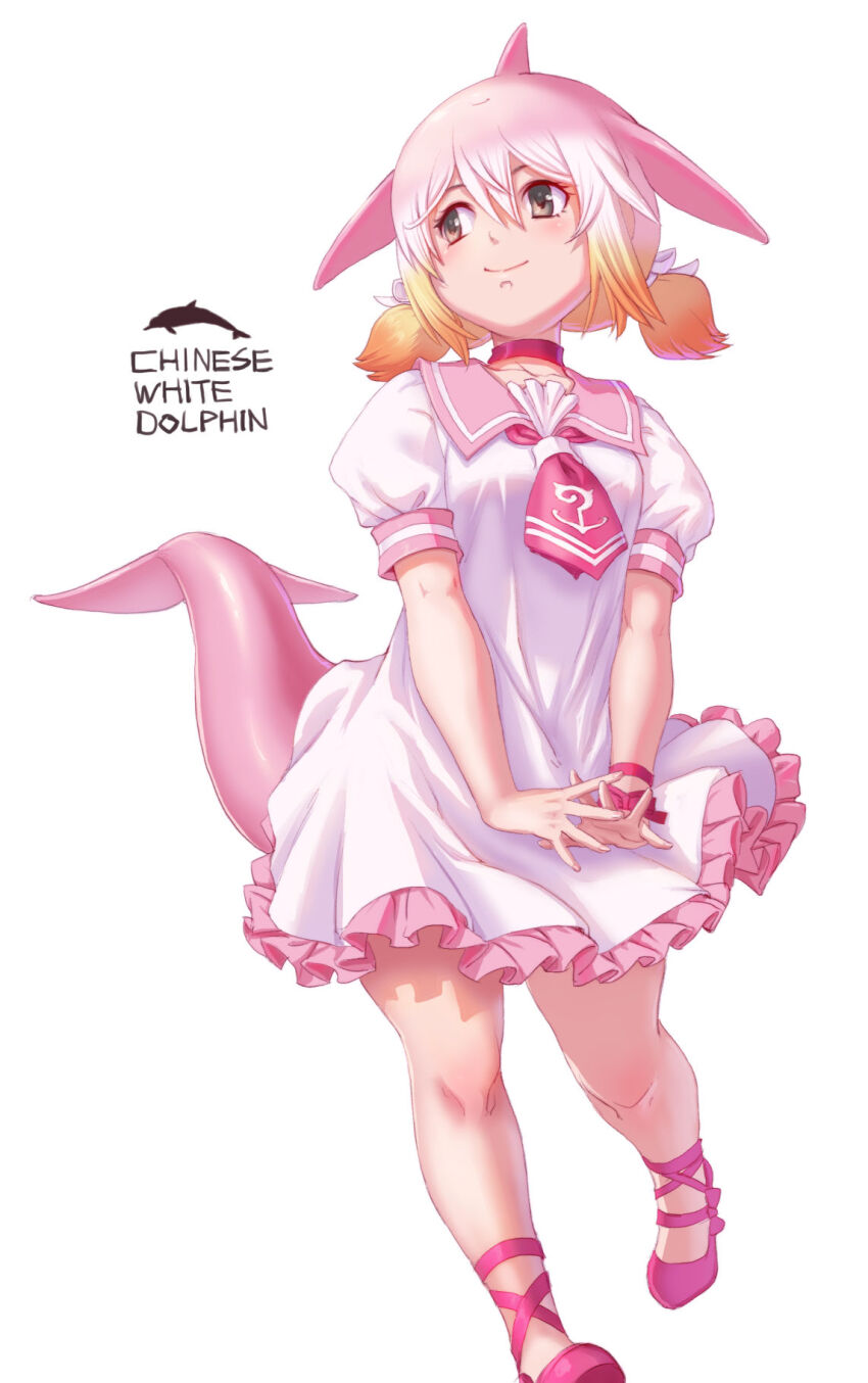 1girl ballet_slippers blowhole blush cetacean_tail chinese_white_dolphin_(kemono_friends) choker collar dolphin_girl dolphin_shorts dorsiflexion dress fins fish_tail footwear_ribbon frilled_dress frills hair_between_eyes head_fins highres japari_symbol kemono_friends kosai_takayuki multicolored_hair necktie orange_hair own_hands_together pink_collar pink_hair pink_shoes pink_trim puffy_short_sleeves puffy_sleeves red_choker red_necktie sailor_collar sailor_dress shoes short_sleeves short_twintails shorts sidelocks smile solo tail twintails white_dress white_hair