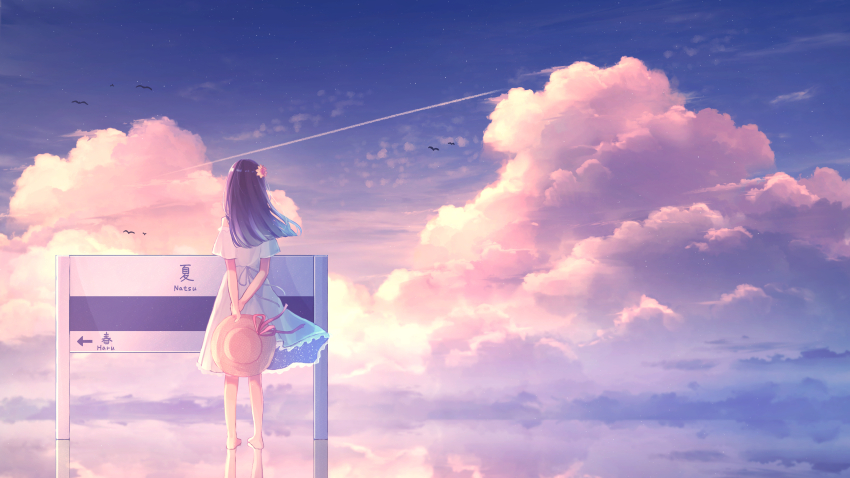 1girl amenomori_howa barefoot black_hair blunt_ends brown_hat cloud cloudy_sky commentary_request contrail direction_board dress flower from_behind hair_flower hair_ornament hat hat_ribbon highres holding holding_own_wrist holding_unworn_clothes holding_unworn_hat long_hair looking_at_sign original outdoors reflection reflective_water ribbon scenery short_sleeves sign simple_bird sky solo standing standing_on_liquid sun_hat unworn_hat unworn_headwear video_thumbnail white_dress wide_shot