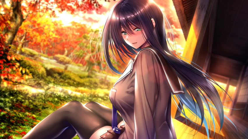 1girl amakano_2 azarashi_soft black_thighhighs blush breasts female_focus floating_hair game_cg grass green_eyes hair_between_eyes highres himiyama_rei large_breasts legs long_hair looking_at_viewer necktie outdoors parted_lips piromizu purple_hair purple_neckwear school_uniform sideboob sitting solo thighhighs thighs tree wind zettai_ryouiki