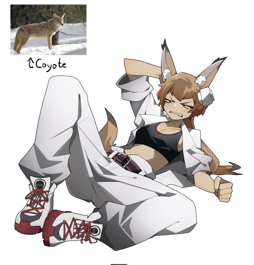 1girl animal animal_ear_fluff arm_behind_head arm_up baggy_pants bandaid bandaid_on_head belt black_belt black_eyes brown_hair collared_jacket colored_sclera coyote wolf_ears wolf_tail cross-laced_footwear dark-skinned_female dark_skin fang full_body gomulgong grimace highres jacket knee_up long_hair midriff open_clothes original pants personification photo_inset ponytail red_belt simple_background sleeves_rolled_up solo sports_bra teardrop white_background white_footwear white_jacket white_pants yellow_sclera